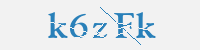 보안문자